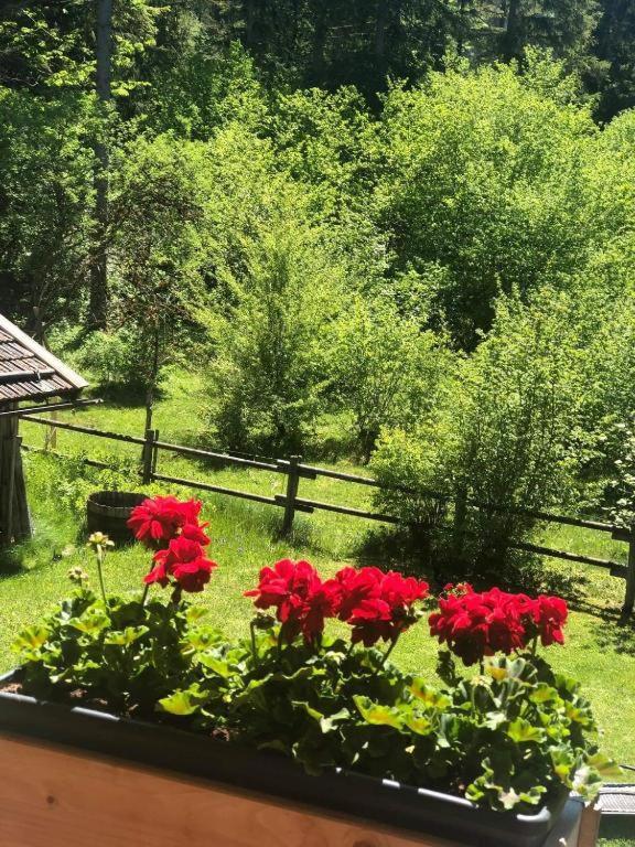 Landhaus Trinis - Gaestezimmer - Bad - Bett - Kleine Kaffee - Tee-Theke Mit Kuehlschrank - Parkplatz Villa Rotta Eksteriør billede